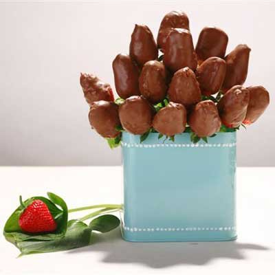 עינוגי תות בשוקולד - אלונה'ס עינוגי פירות