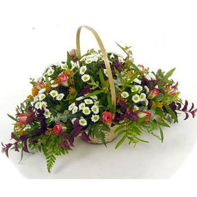 רוח סתיו - אורכידאה