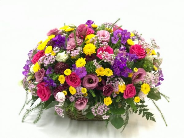 רוח סתיו - אורכידאה