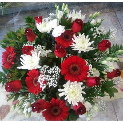 קלאסי אדום-לבן - דבי פרחים