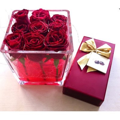 רוח סתיו - אורכידאה