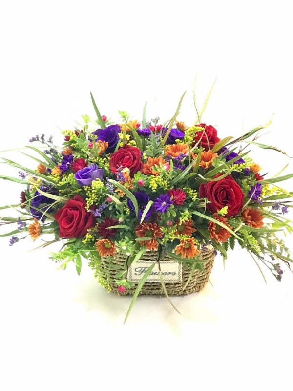 רוח סתיו - אורכידאה