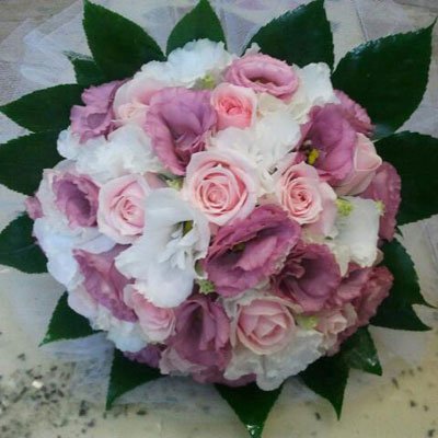 רומנטיקה - דבי פרחים