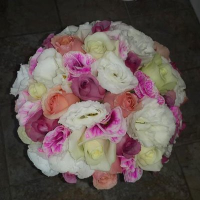 רך ורומנטי - דבי פרחים