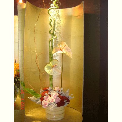 שתי ציפורים - לב הפרח