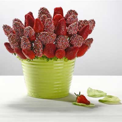 תותי פרוטי - אלונה'ס עינוגי פירות