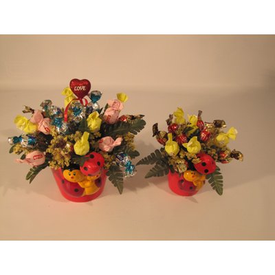סידור מתוק 11 - פרחים קוליברי