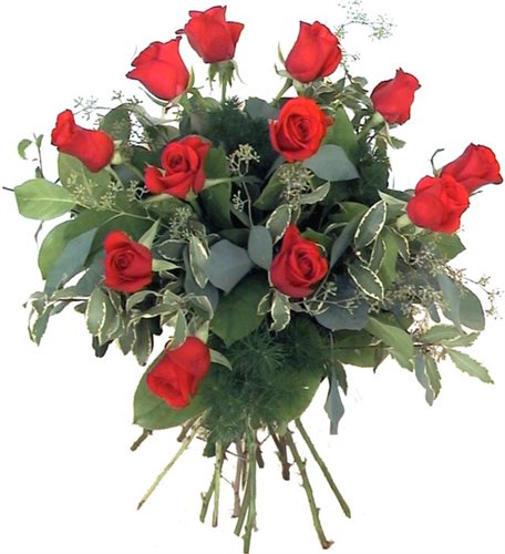 12 ורדים אדומים - פרחי דליה