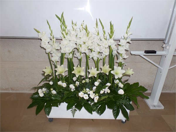 98. סידור פרחים - לבן - פרחי דליה
