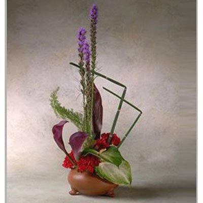 אי סימטרי 1 - סחלבים