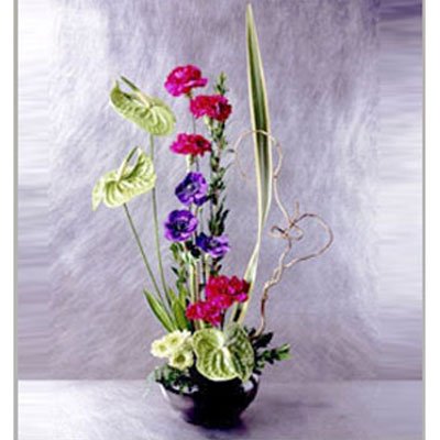 אנטוריום בשדה 2 - סחלבים