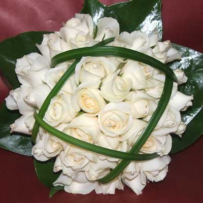 אפרודיטה - פרחים קוליברי