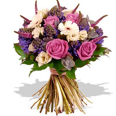 גרברות וורדים 22 - סחלבים