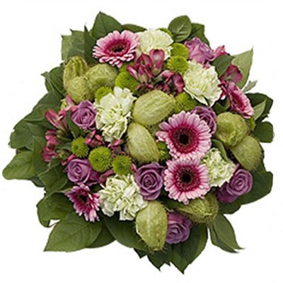 גרברות ותפוח יפני 1 - סחלבים