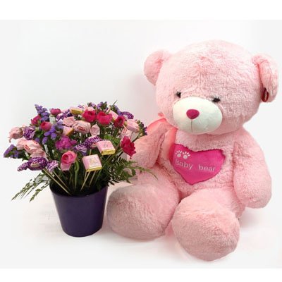 דובי ורוד עם סידור מתוק - תלתן פרחים