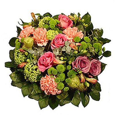 ורדים וחרציות 7 - סחלבים