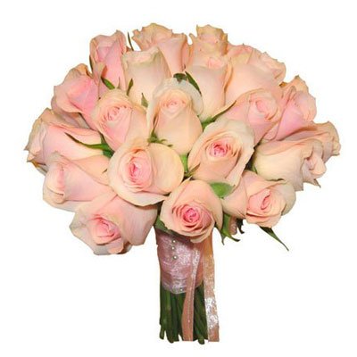 ורדים ורודים - פרחי דליה