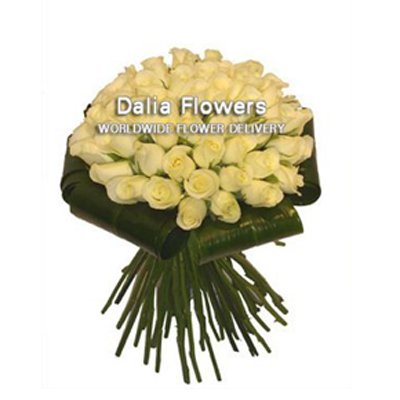 ורדים לבנים - פרחי דליה