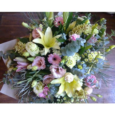 זר 25 - סחלבים