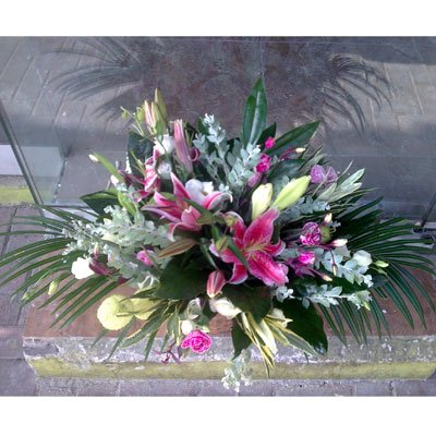 זר 26 - סחלבים