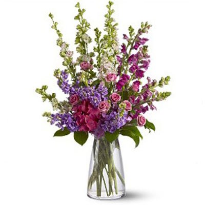 זר דולפיניום 23 - סחלבים