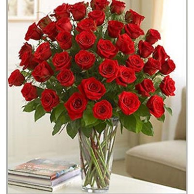 זר ורדים ענק 13 - סחלבים