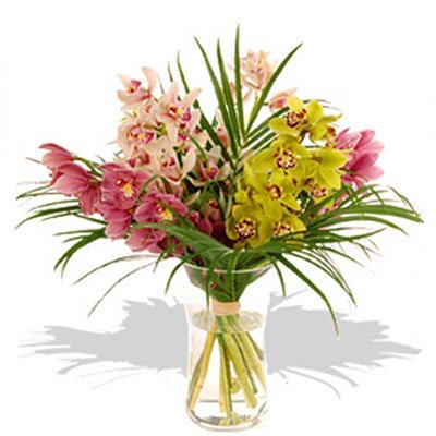 זר סחלבים מגוון 12 - סחלבים