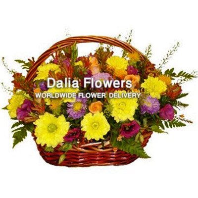טנא פרחים - פרחי דליה