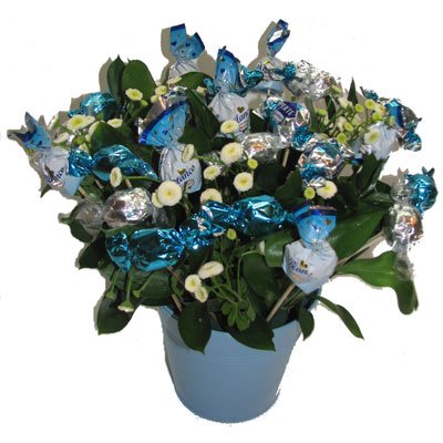 כחול מתוק - תלתן פרחים