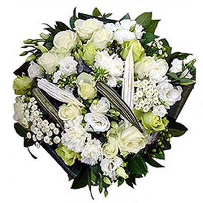 לבן וכסוף 19 - סחלבים