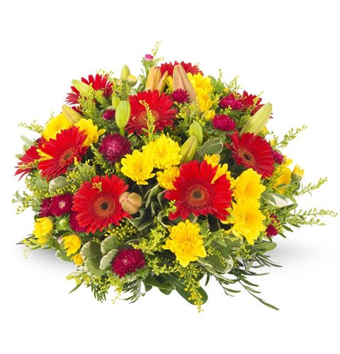 להבה - פרחי עירית