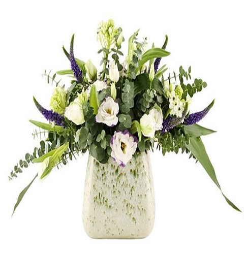 מוניק - פרחי עירית