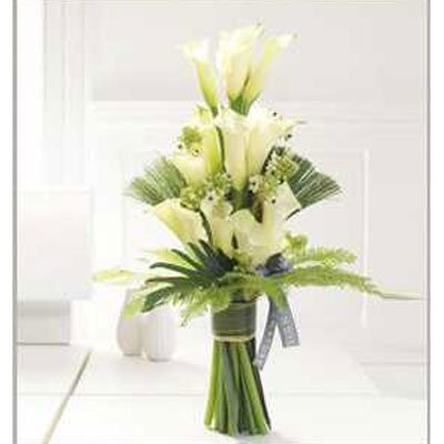 מניפת קאלות 3 - סחלבים