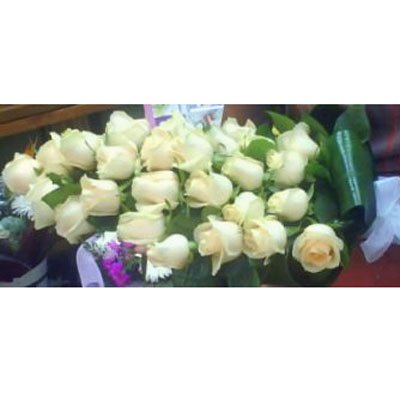 נטלי - פרחים קוליברי