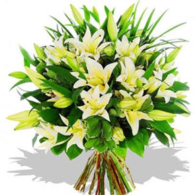 סטאר גזר וירק 10 - סחלבים