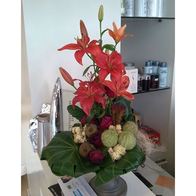 סידור 11 - סחלבים