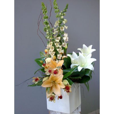 סידור 12 - סחלבים