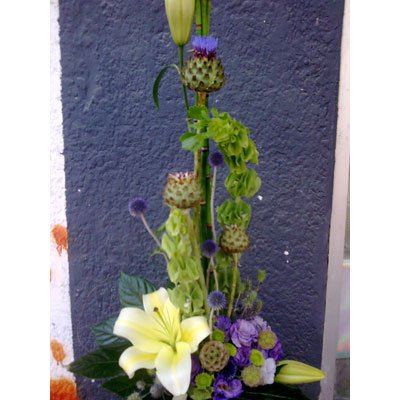 סידור 14 - סחלבים