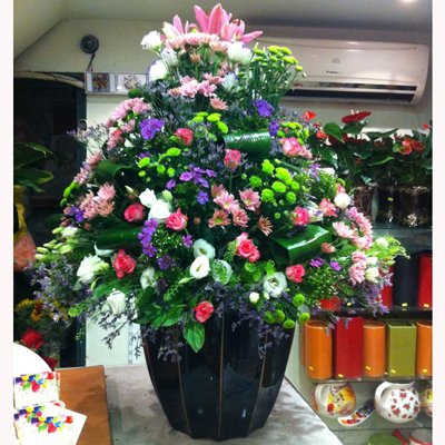 סידור לובי 5 - לה רוז דה פריז