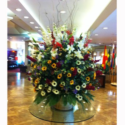 סידורי לובי - לה רוז דה פריז