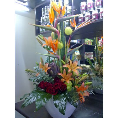 סידור 7 - סחלבים