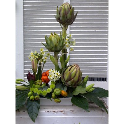 סידור 9 - סחלבים