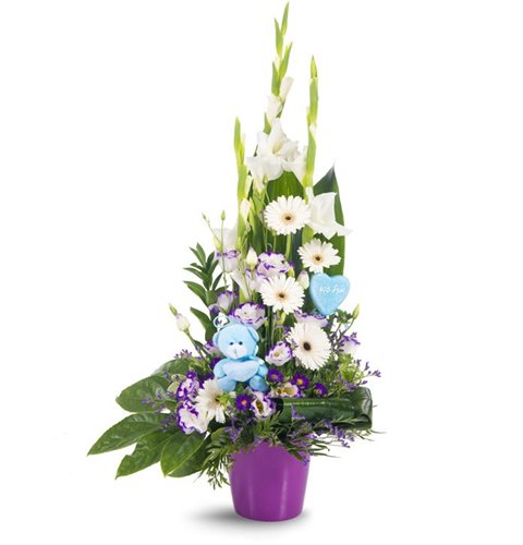 סידור להולדת הבן - פרחי עירית