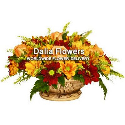 סידור פרחים צבעים חמים - פרחי דליה