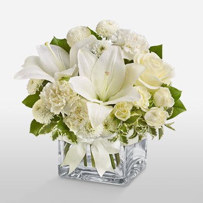 פתיתי שלג - פרחי גילי