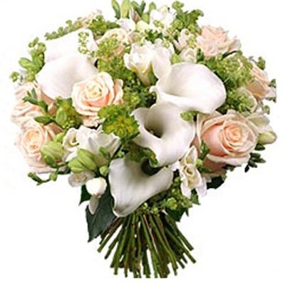 קאלות לבנות וורדים 9 - סחלבים