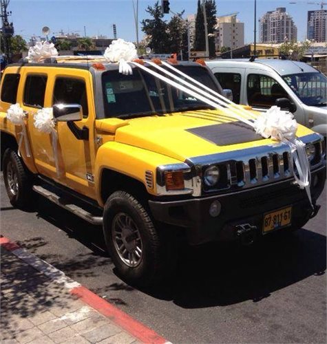 קישוט רכב 2 - פרחי עירית