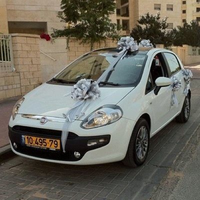 קישוט רכב 8 - פרחי עירית