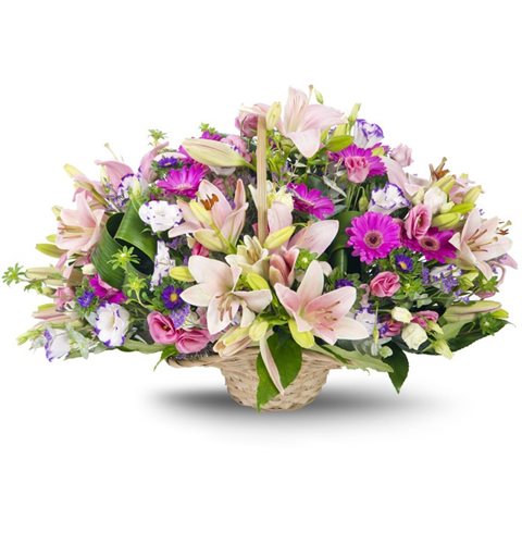 שדה ורוד - פרחי עירית