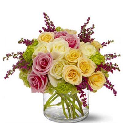 תערובת ורדים 6 - סחלבים